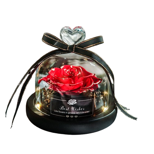 Valentine's Day Christmas Dried Flowers For Home Decor